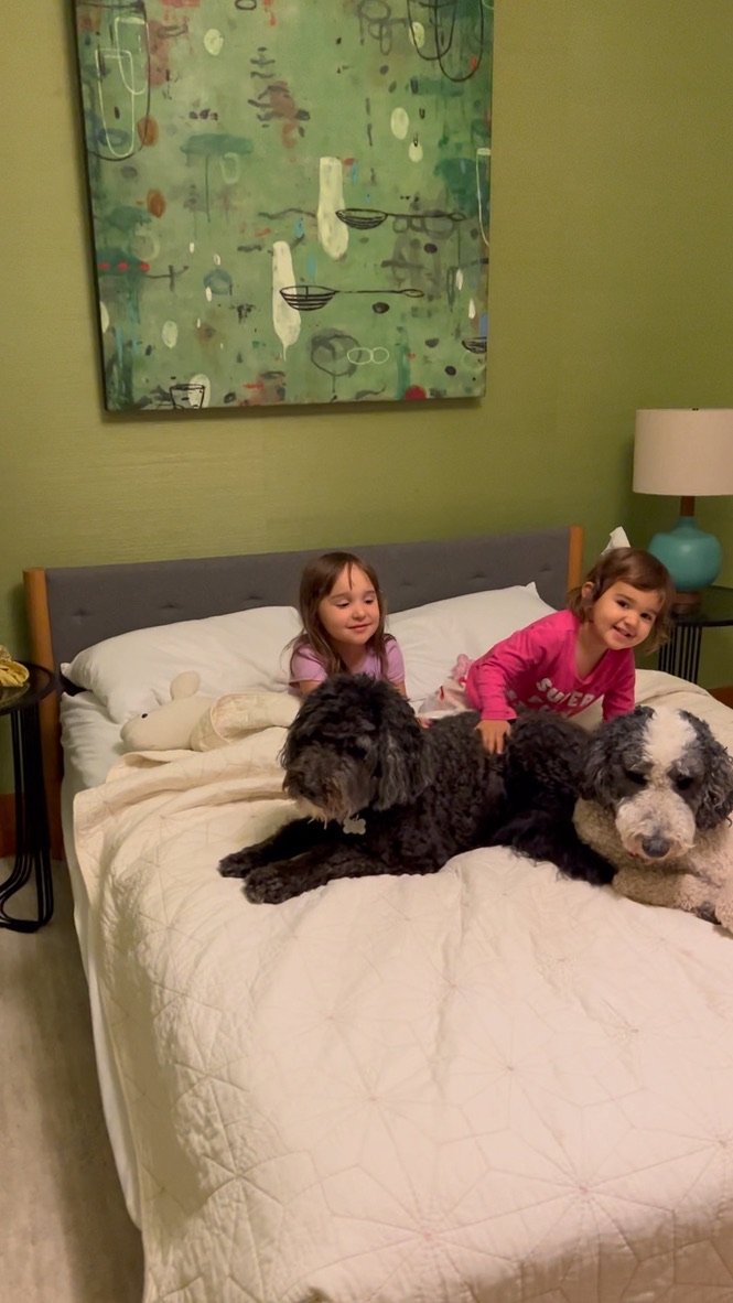 Dogs and Granddaughters
