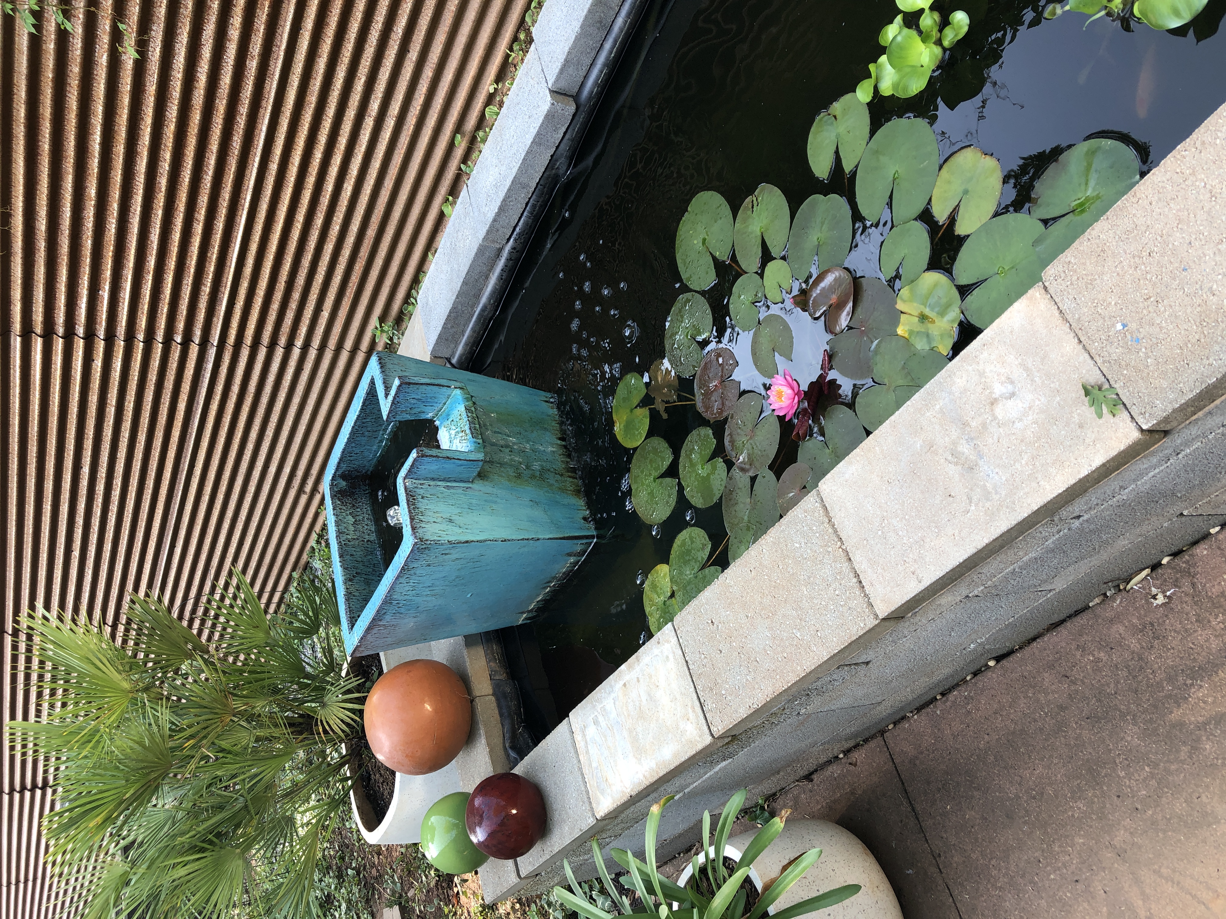 A small pond with lily pads and a water feature surrounded by plants and decorative objects.