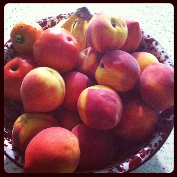 Peaches at the Urban Oasis #blog