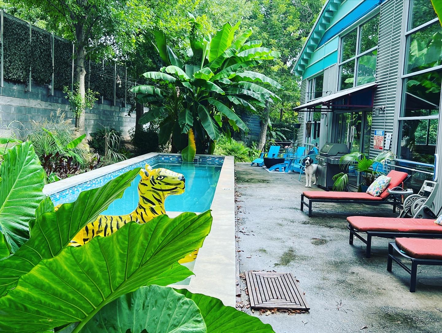 Urban Oasis Bed and Breakfast — gallery preview 1